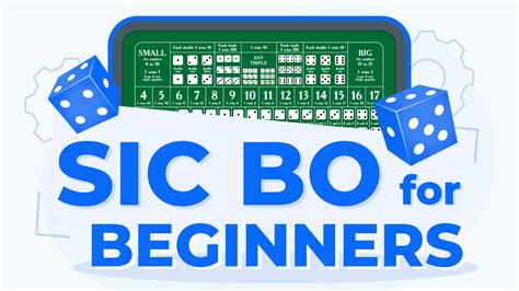 Sic Bo for Beginners: How to Play & Maximize Your Winnings.